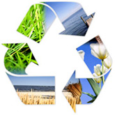 recycling image